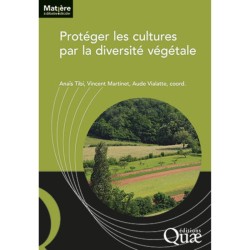 Protéger les cultures par la diversité végétale Protéger les cultures par la diversité végétale