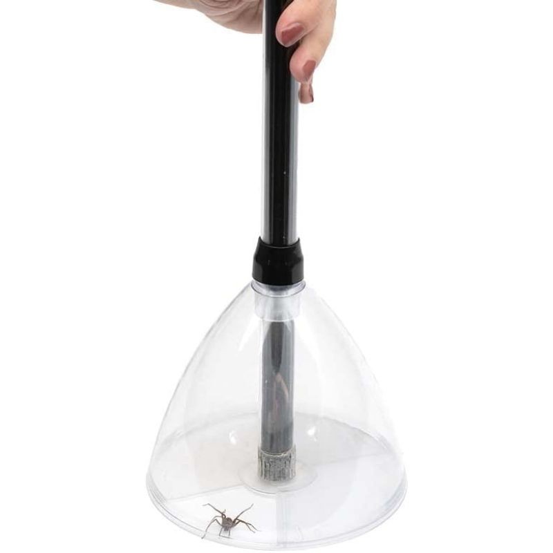 Attrape-insectes et araignées Bug Away