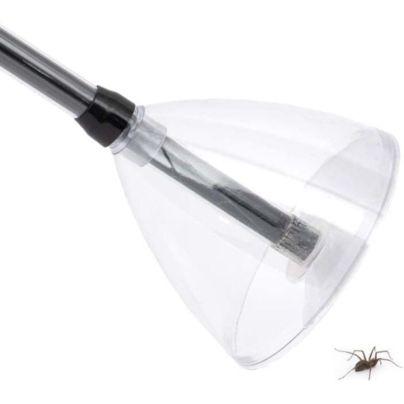 Attrape-insectes et araignées Bug Away