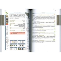 Ce Champignon est-il comestible ?