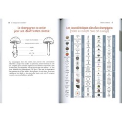 Ce Champignon est-il comestible ?