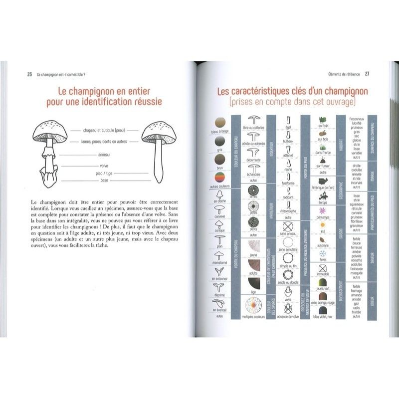 Ce Champignon est-il comestible ?