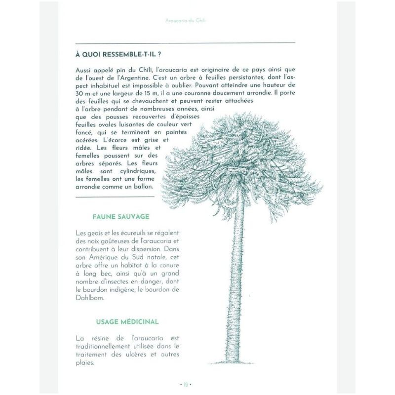 L'étonnante variété de choses pratiques, gourmandes et amusantes à faire avec les arbres