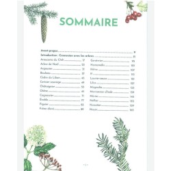 L'étonnante variété de choses pratiques, gourmandes et amusantes à faire avec les arbres