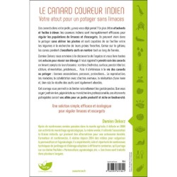 Le Canard coureur indien - Votre atout pour un potager sans limaces
