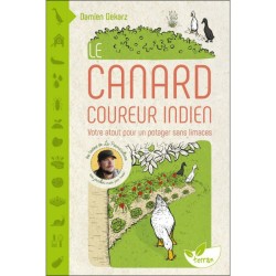 Le Canard coureur indien - Votre atout pour un potager sans limaces