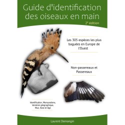 Guide d'identification des oiseaux en main