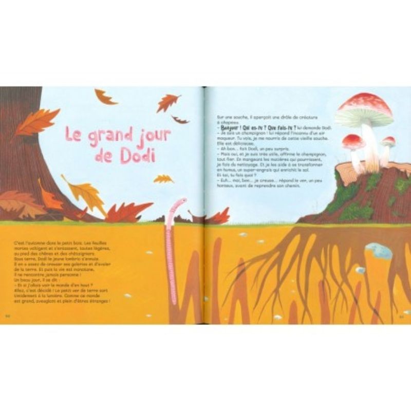 Histoires nature de la Petite Salamandre - T.1 Histoires nature de la Petite Salamandre - T.1