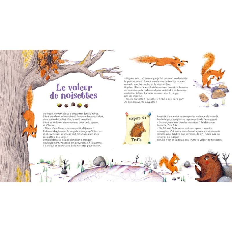 Histoires nature de la Petite Salamandre - T.1 Histoires nature de la Petite Salamandre - T.1