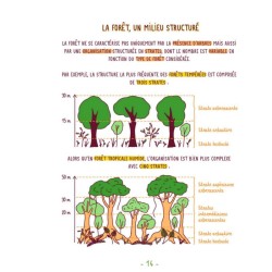 Comprendre et protéger la Forêt