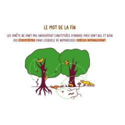 Comprendre et protéger la Forêt