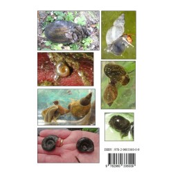 Mollusques d'eau douce de Belgique - Une Introduction et un guide de détermination