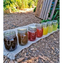 Stratégie anti-bestioles au jardin Stratégie anti-bestioles au jardin