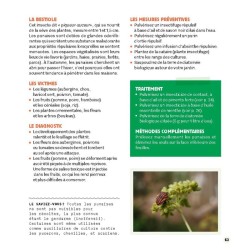 Stratégie anti-bestioles au jardin Stratégie anti-bestioles au jardin