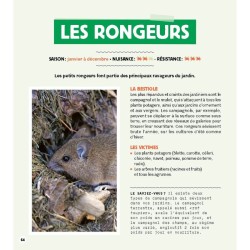 Stratégie anti-bestioles au jardin Stratégie anti-bestioles au jardin