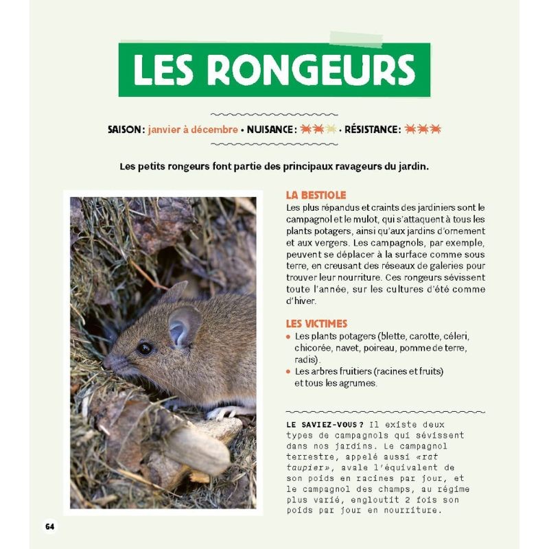 Stratégie anti-bestioles au jardin Stratégie anti-bestioles au jardin