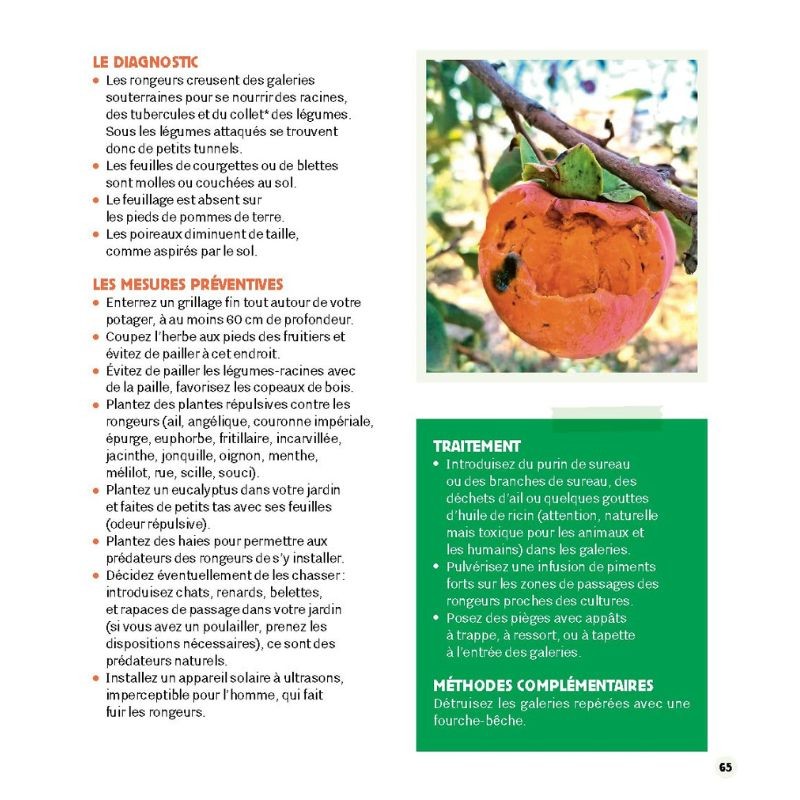 Stratégie anti-bestioles au jardin Stratégie anti-bestioles au jardin