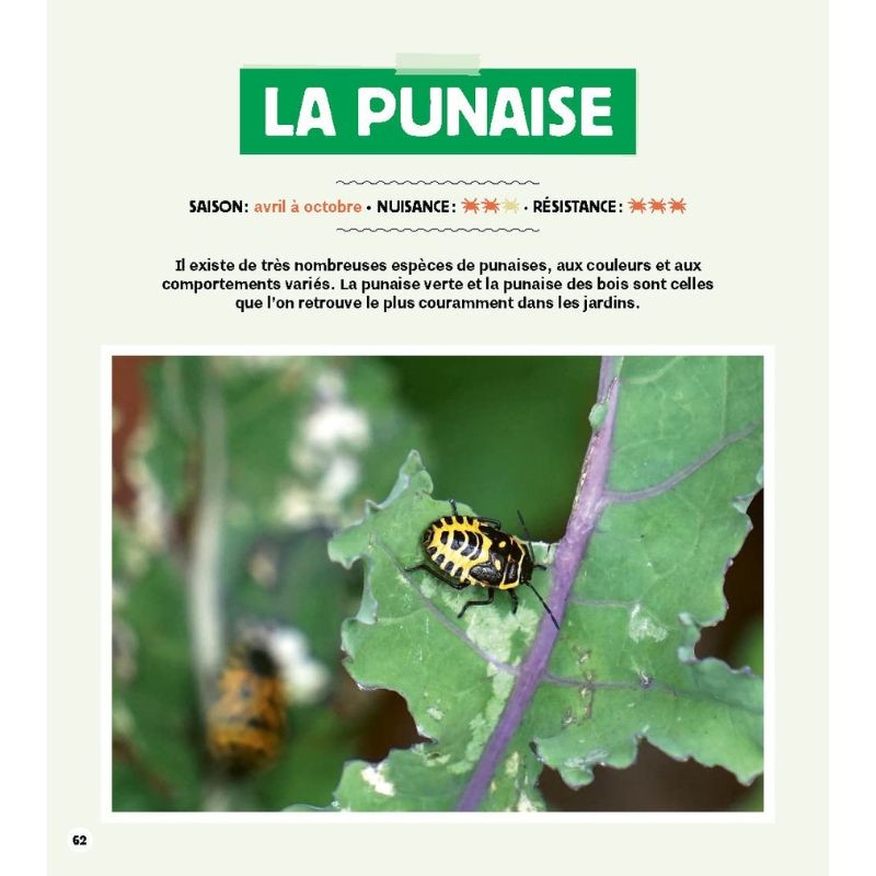 Stratégie anti-bestioles au jardin Stratégie anti-bestioles au jardin