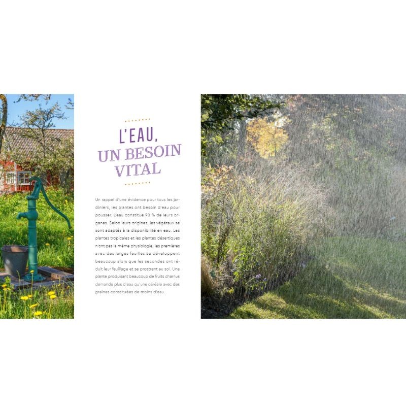 Presque pas d'eau au potager