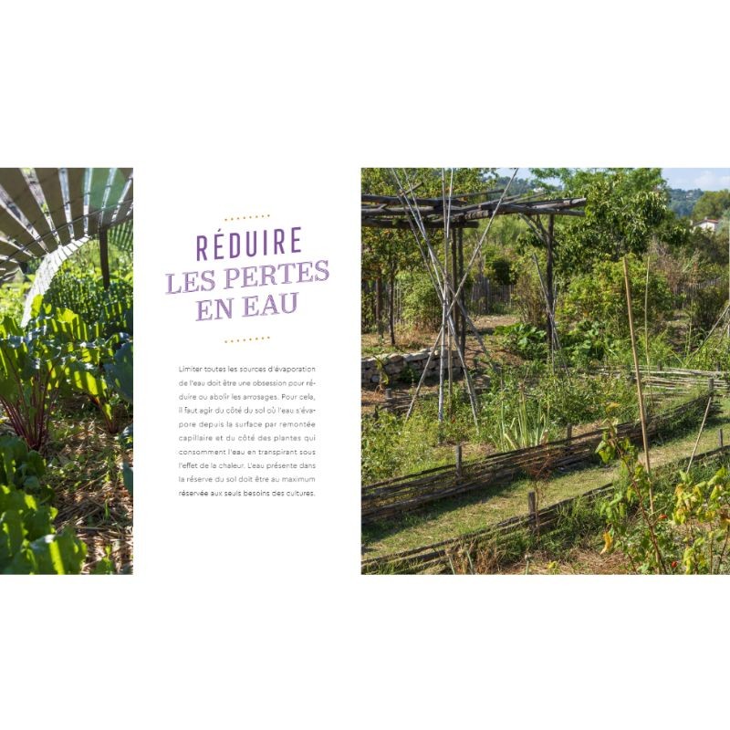 Presque pas d'eau au potager
