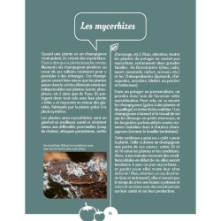 Mon potager en permaculture Mon potager en permaculture