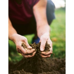 Mon potager en permaculture Mon potager en permaculture