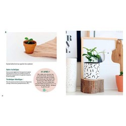 Faites pousser vos noyaux et pépins ! Zéro difficulté - Zéro déchet - Zéro dépense