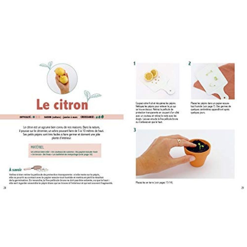 Faites pousser vos noyaux et pépins ! Zéro difficulté - Zéro déchet - Zéro dépense