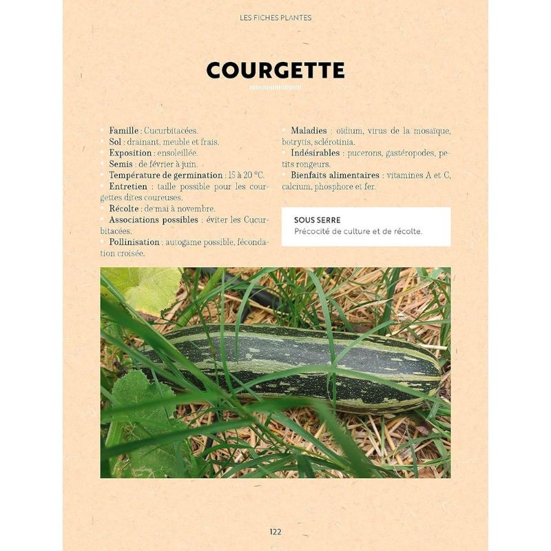 Cultiver en serre pour récolter toute l'année - Des conseils à la portée de tous Cultiver en serre pour récolter toute l'année - Des conseils à la portée de tous