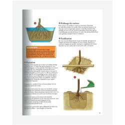 Le traité Rustica des arbres fruitiers Le traité Rustica des arbres fruitiers