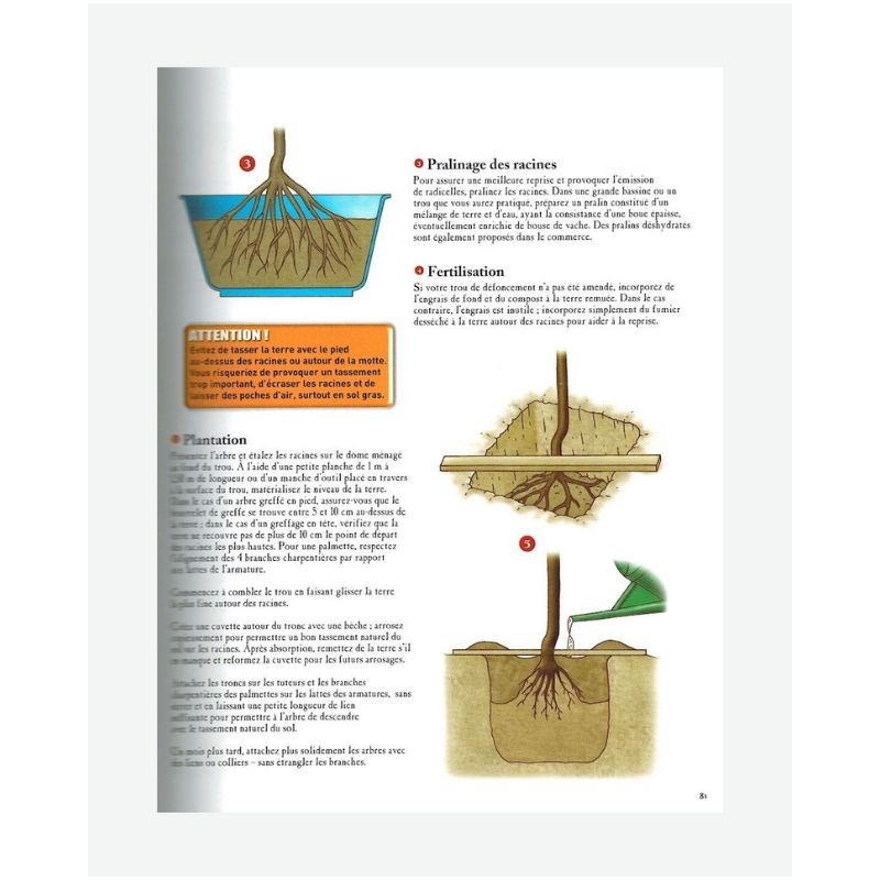 Le traité Rustica des arbres fruitiers Le traité Rustica des arbres fruitiers