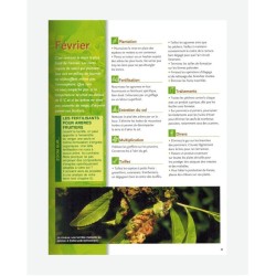 Le traité Rustica des arbres fruitiers Le traité Rustica des arbres fruitiers