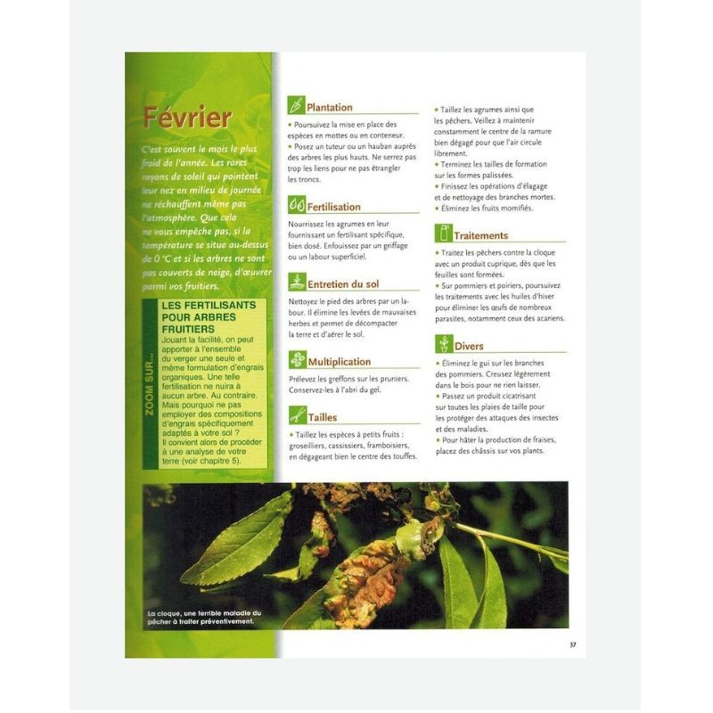 Le traité Rustica des arbres fruitiers Le traité Rustica des arbres fruitiers