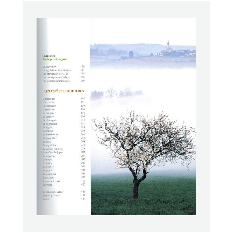 Le traité Rustica des arbres fruitiers Le traité Rustica des arbres fruitiers