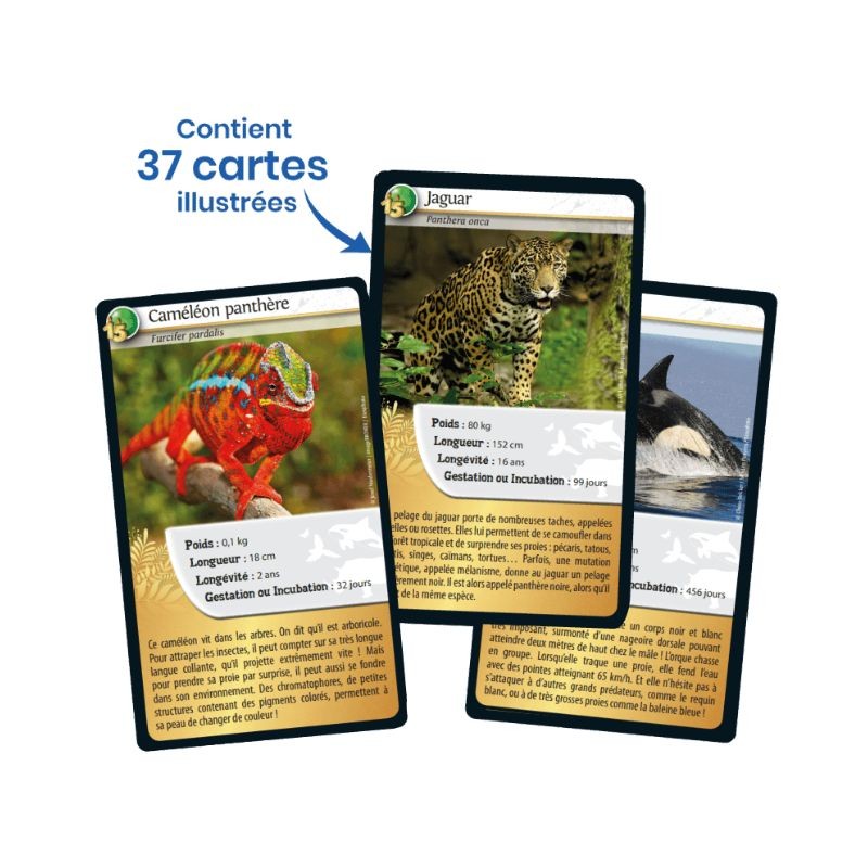 Jeu Défis Nature - 15ème Anniversaire - Bioviva Jeu Défis Nature - 15ème Anniversaire - Bioviva