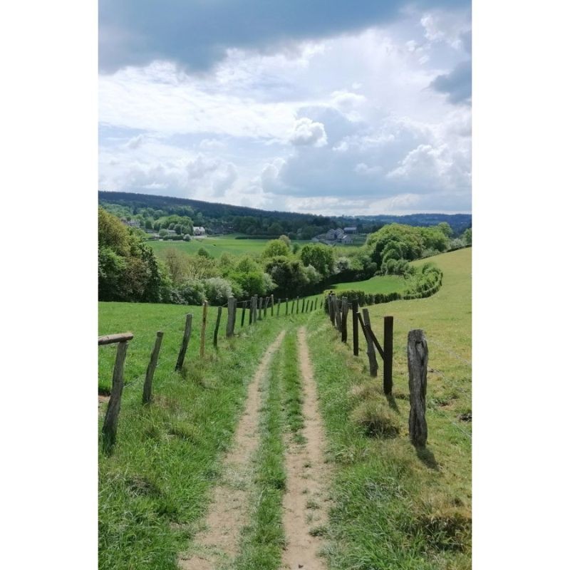 Randonnées en Boucle dans la province de Liège - Tome 2 Randonnées en Boucle dans la province de Liège - Tome 2