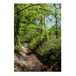 Randonnées en Boucle dans la province de Liège - Tome 2 Randonnées en Boucle dans la province de Liège - Tome 2