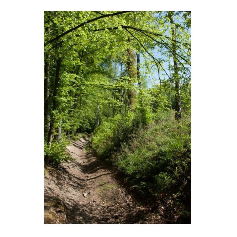 Randonnées en Boucle dans la province de Liège - Tome 2 Randonnées en Boucle dans la province de Liège - Tome 2