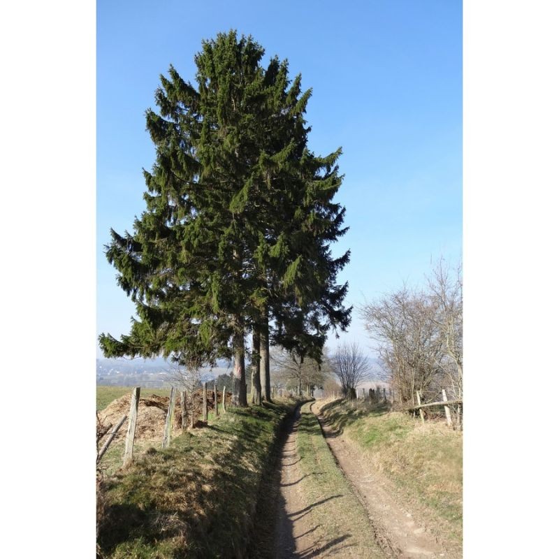 Randonnées en Boucle dans la province de Liège - Tome 2 Randonnées en Boucle dans la province de Liège - Tome 2