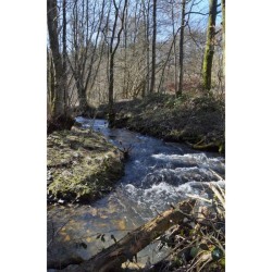Randonnées en Boucle dans la province de Namur - Tome 2 Randonnées en Boucle dans la province de Namur - Tome 2