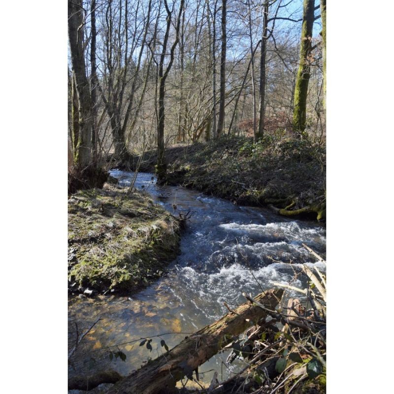 Randonnées en Boucle dans la province de Namur - Tome 2 Randonnées en Boucle dans la province de Namur - Tome 2