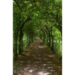 Randonnées sur les sentiers GR en Flandre et en Wallonie - Best of Belgium