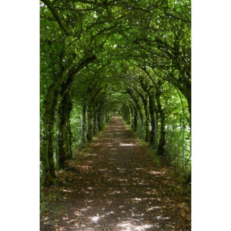 Randonnées sur les sentiers GR en Flandre et en Wallonie - Best of Belgium