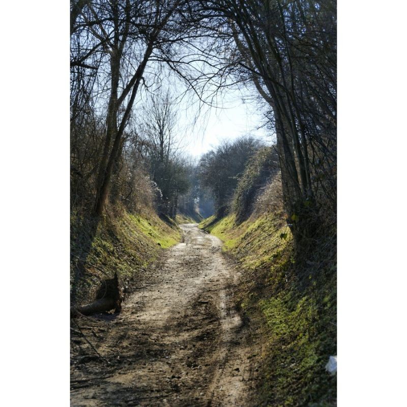 Randonnées sur les sentiers GR en Flandre et en Wallonie - Best of Belgium