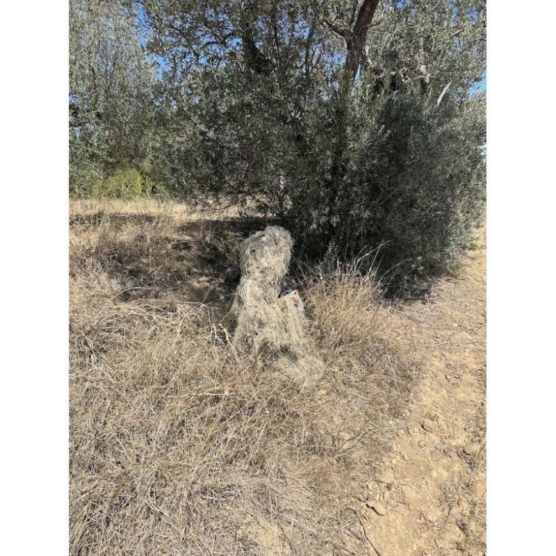 Parka de camouflage Ghillie beige - Tragopan