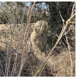 Parka de camouflage Ghillie beige - Tragopan