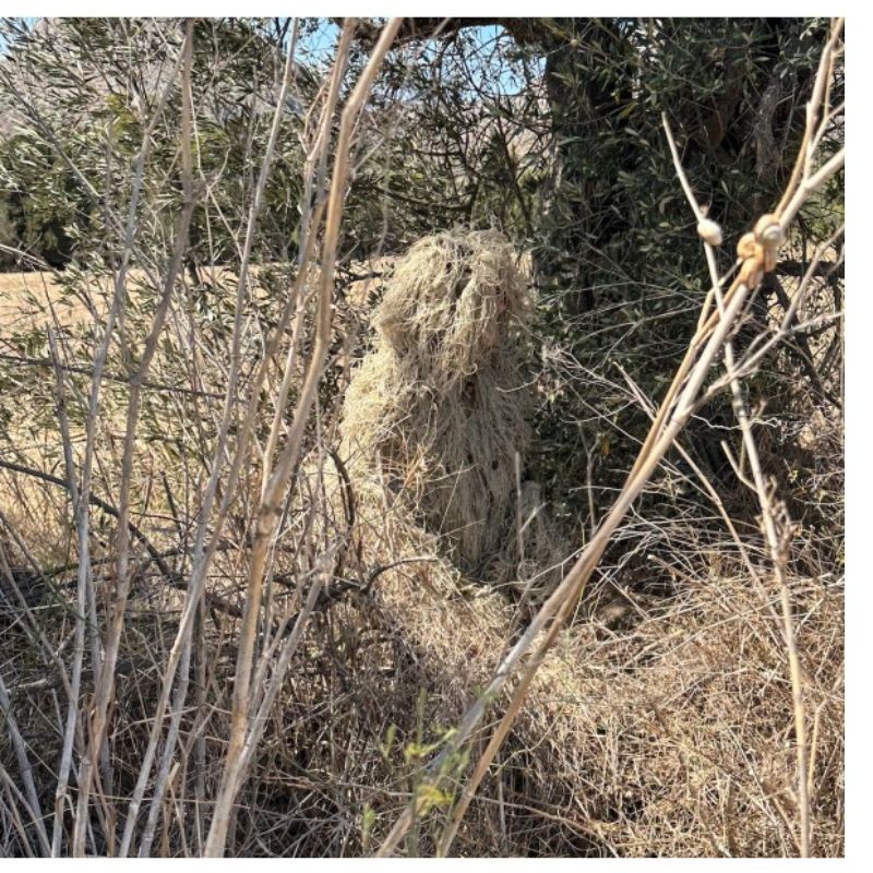 Parka de camouflage Ghillie beige - Tragopan