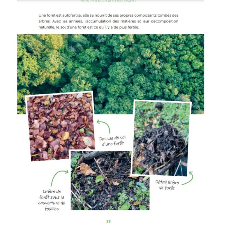 Mon potager auto-suffisant en 2 heures par semaine !