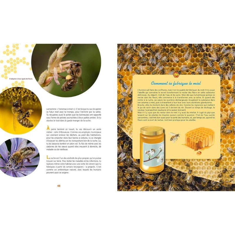 Et si tu étais une abeille ?