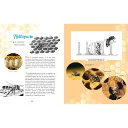 Et si tu étais une abeille ?